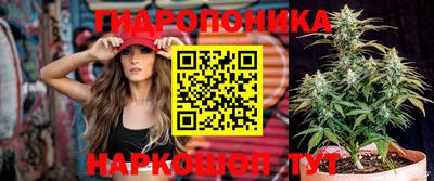 МДПВ Моздок
