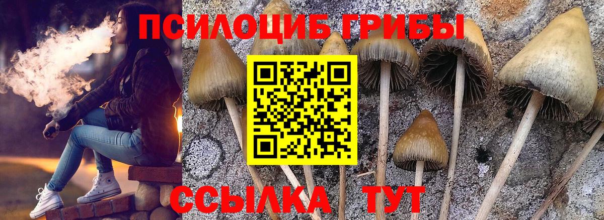 Галлюциногенные грибы мухоморы Бугуруслан