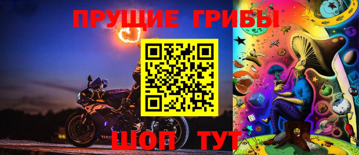 Псилоцибиновые грибы мухоморы  закладка  Галлюциногенные грибы GOLDEN TEACHER  Бугуруслан  Вход с VPN 